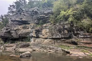 1328 Birch Ln, Ranger, GA 30734 - Photo 27