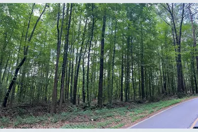 324 S McCollum Drive, Canton, GA 30114 - Photo 3