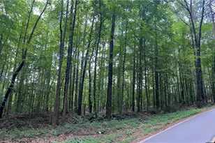 324 S McCollum Dr, Canton, GA 30114 - Photo 3