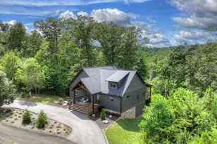 141 Long View Lane, Blue Ridge, GA 30513 - Photo 67