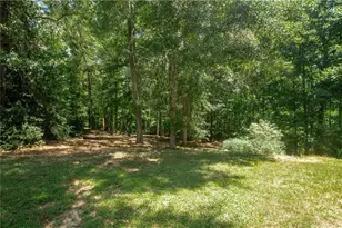1426 Brighton Pl, Loganville, GA 30052 - Photo 41