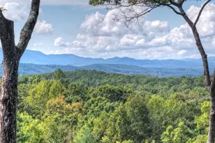 67 Antler Way, Morganton, GA 30560 - Photo 13