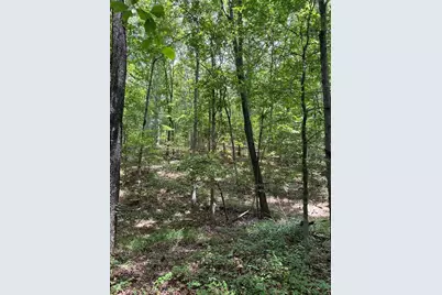 0 Buttrum, Adairsville, GA 30103 - Photo 17