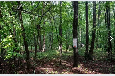 0 Buttrum, Adairsville, GA 30103 - Photo 11