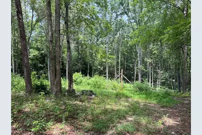 0 Buttrum, Adairsville, GA 30103 - Photo 15