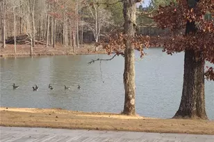 1401 Rainey Rd, Temple, GA 30179 - Photo 15