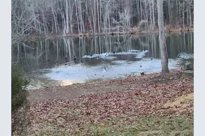 1401 Rainey Road, Temple, GA 30179 - Photo 27