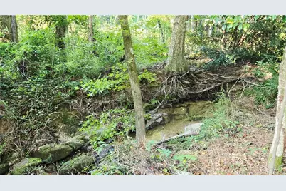 1622 Branch Creek Cove, Lawrenceville, GA 30043 - Photo 39