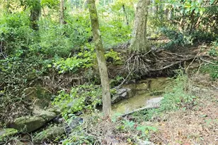 1622 Branch Creek Cove, Lawrenceville, GA 30043 - Photo 39