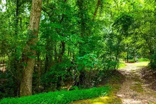 273 Sewell Rd, Bremen, GA 30110 - Photo 47