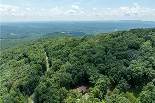 771 Little Hendricks Mountain Rd, Jasper, GA 30143 - Photo 33