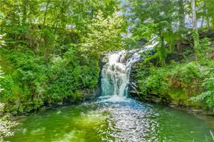 771 Little Hendricks Mountain Rd, Jasper, GA 30143 - Photo 45