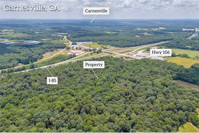 00 Hall Carson Road, Carnesville, GA 30521 - Photo 11