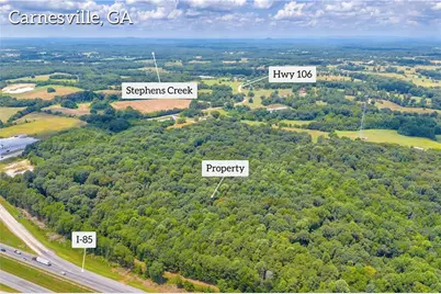 00 Hall Carson Road, Carnesville, GA 30521 - Photo 5