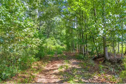 00 Hall Carson Road, Carnesville, GA 30521 - Photo 13