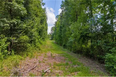 00 Hall Carson Road, Carnesville, GA 30521 - Photo 17