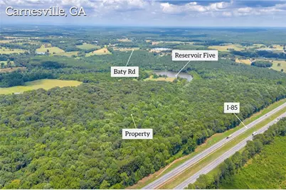 00 Hall Carson Road, Carnesville, GA 30521 - Photo 7