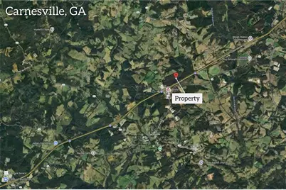 00 Hall Carson Road, Carnesville, GA 30521 - Photo 3