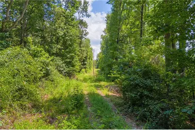 00 Hall Carson Road, Carnesville, GA 30521 - Photo 15