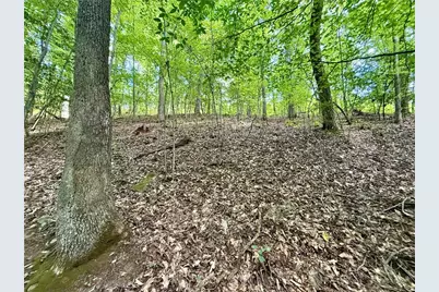 79 River Overlook Lane S, Ellijay, GA 30540 - Photo 9