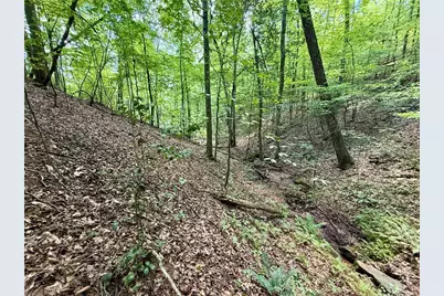 79 River Overlook Lane S, Ellijay, GA 30540 - Photo 3