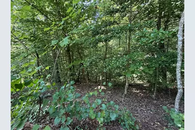 79 River Overlook Lane S, Ellijay, GA 30540 - Photo 11