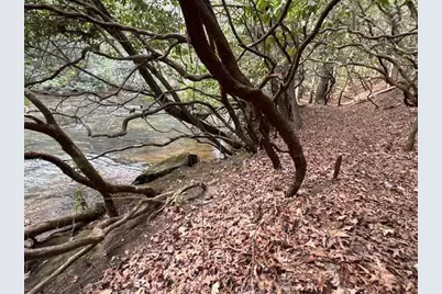 0 Horseshoe Bend Road, Dahlonega, GA 30533 - Photo 3