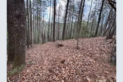 0 Horseshoe Bend Road, Dahlonega, GA 30533 - Photo 7