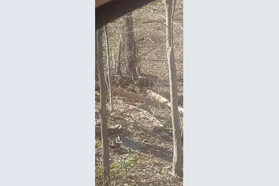 7102 Hickory Trail, Jasper, GA 30143 - Photo 3