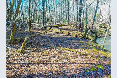 00 Woodland Lane, Dahlonega, GA 30533 - Photo 5