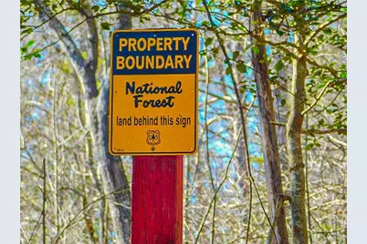 00 Woodland Lane, Dahlonega, GA 30533 - Photo 11