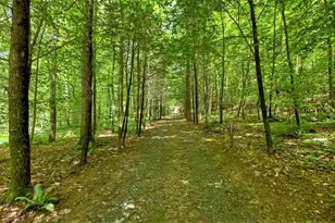 1048 Laurel Trail, Ellijay, GA 30536 - Photo 65