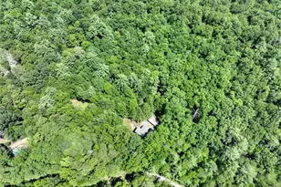 1048 Laurel Trail, Ellijay, GA 30536 - Photo 69