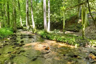 1048 Laurel Trail, Ellijay, GA 30536 - Photo 5