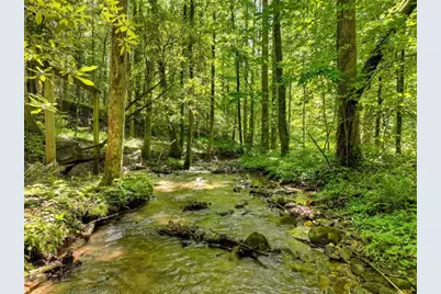 1048 Laurel Trail, Ellijay, GA 30536 - Photo 53