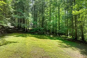 1048 Laurel Trail, Ellijay, GA 30536 - Photo 57
