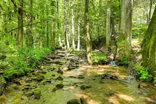 1048 Laurel Trail, Ellijay, GA 30536 - Photo 61