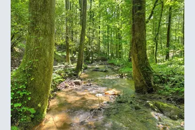 1048 Laurel Trail, Ellijay, GA 30536 - Photo 51