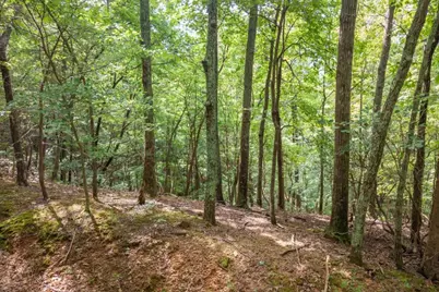 25 Lady Slipper Lane, Big Canoe, GA 30143 - Photo 5