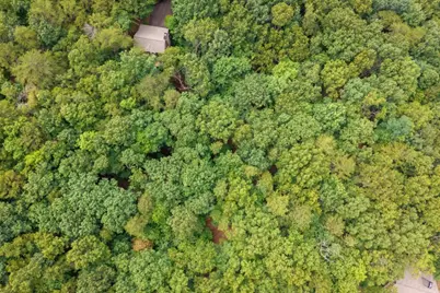 25 Lady Slipper Lane, Big Canoe, GA 30143 - Photo 7