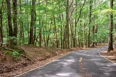 25 Lady Slipper Lane, Big Canoe, GA 30143 - Photo 11