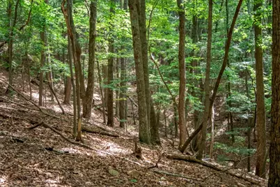 25 Lady Slipper Lane, Big Canoe, GA 30143 - Photo 9