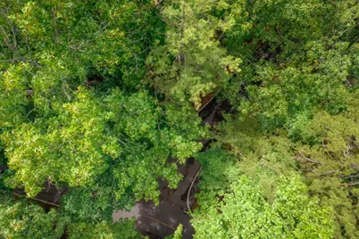 25 Lady Slipper Lane, Big Canoe, GA 30143 - Photo 3