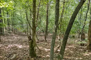 0 Kings Rd, Gainesville, GA 30506 - Photo 15