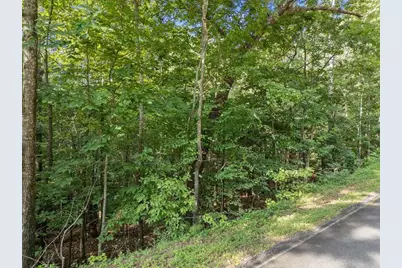 0 Kings Road, Gainesville, GA 30506 - Photo 7