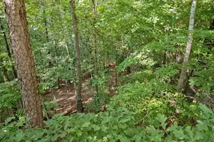 0 Kings Rd, Gainesville, GA 30506 - Photo 13