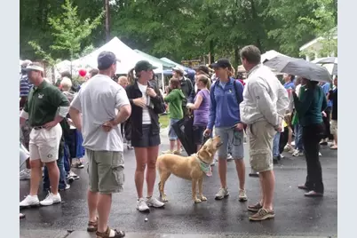 278 Mission Oak Drive, Grayson, GA 30017 - Photo 37