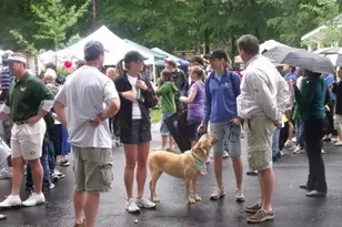 278 Mission Oak Dr, Grayson, GA 30017 - Photo 37