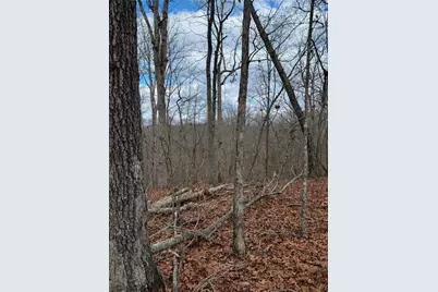 0 Harris Creek Drive, Ellijay, GA 30540 - Photo 5