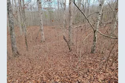 0 Harris Creek Drive, Ellijay, GA 30540 - Photo 7